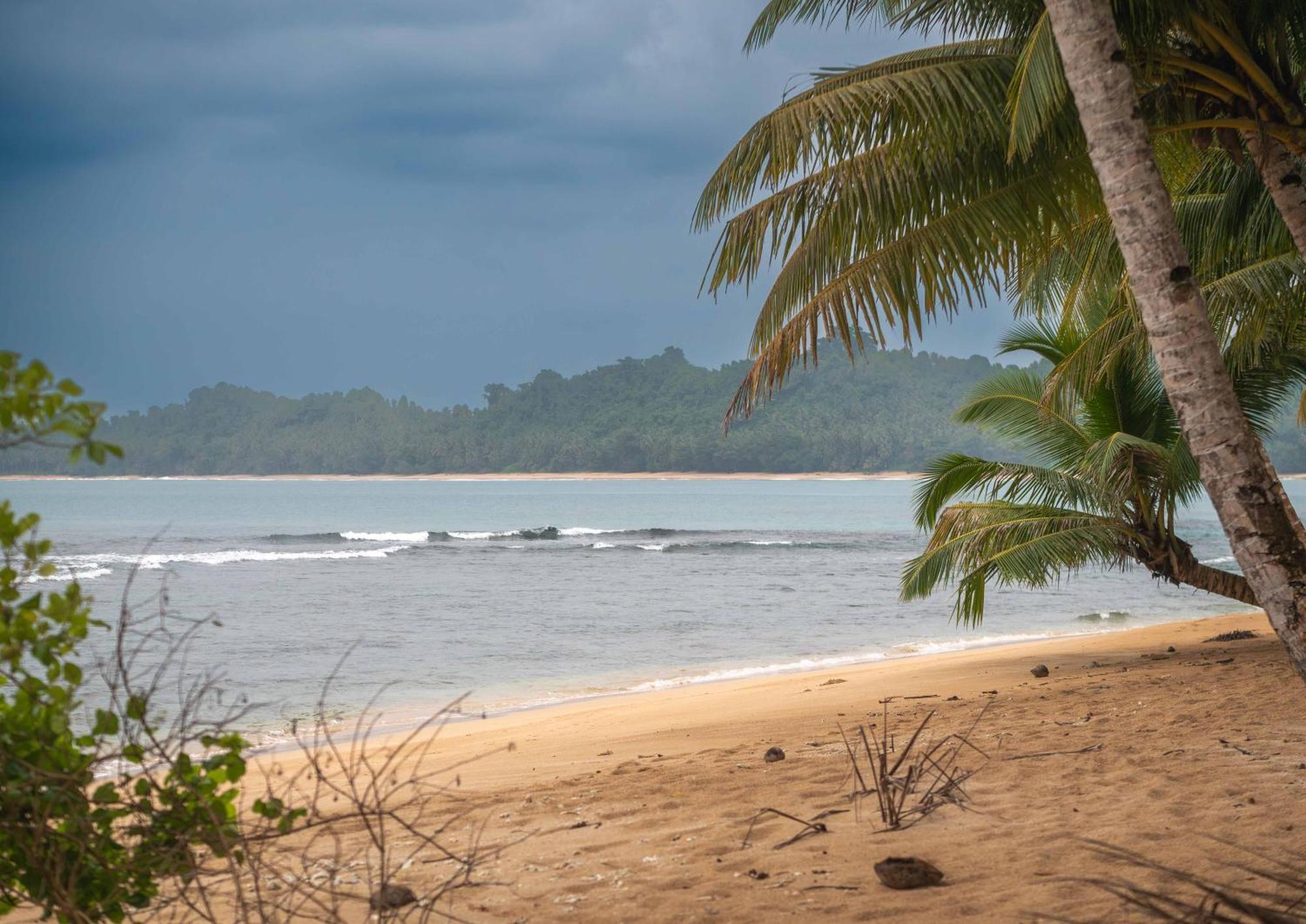 Bed and Breakfast Carve Bay Mentawai Masokut Exterior foto